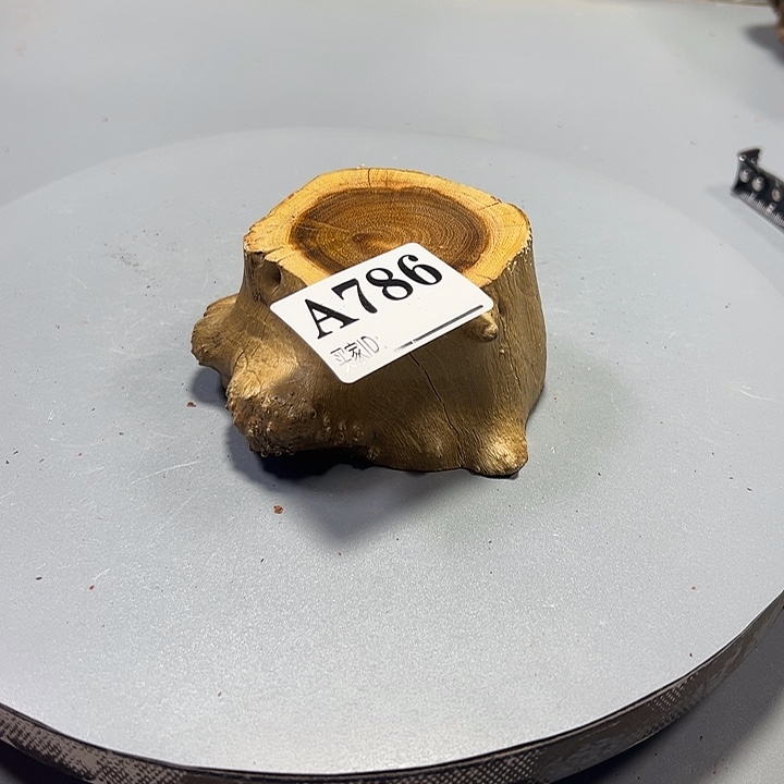 墙***上大果紫檀（缅甸花梨）