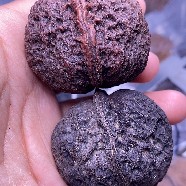 文玩核桃把件   75