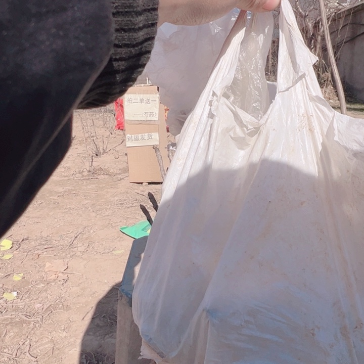 当前无花栽培后可以开花一兜多色