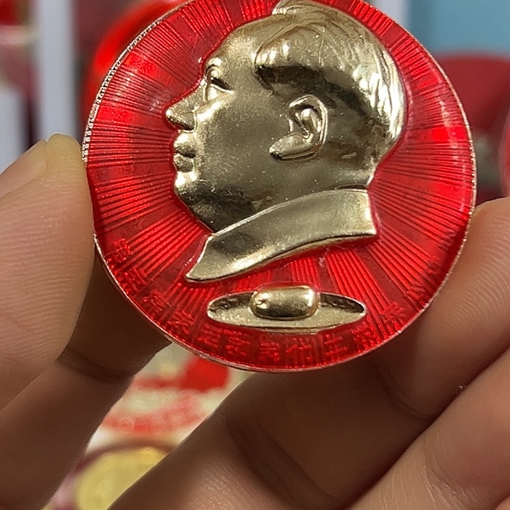 塞***柳其他普通金属纪念章