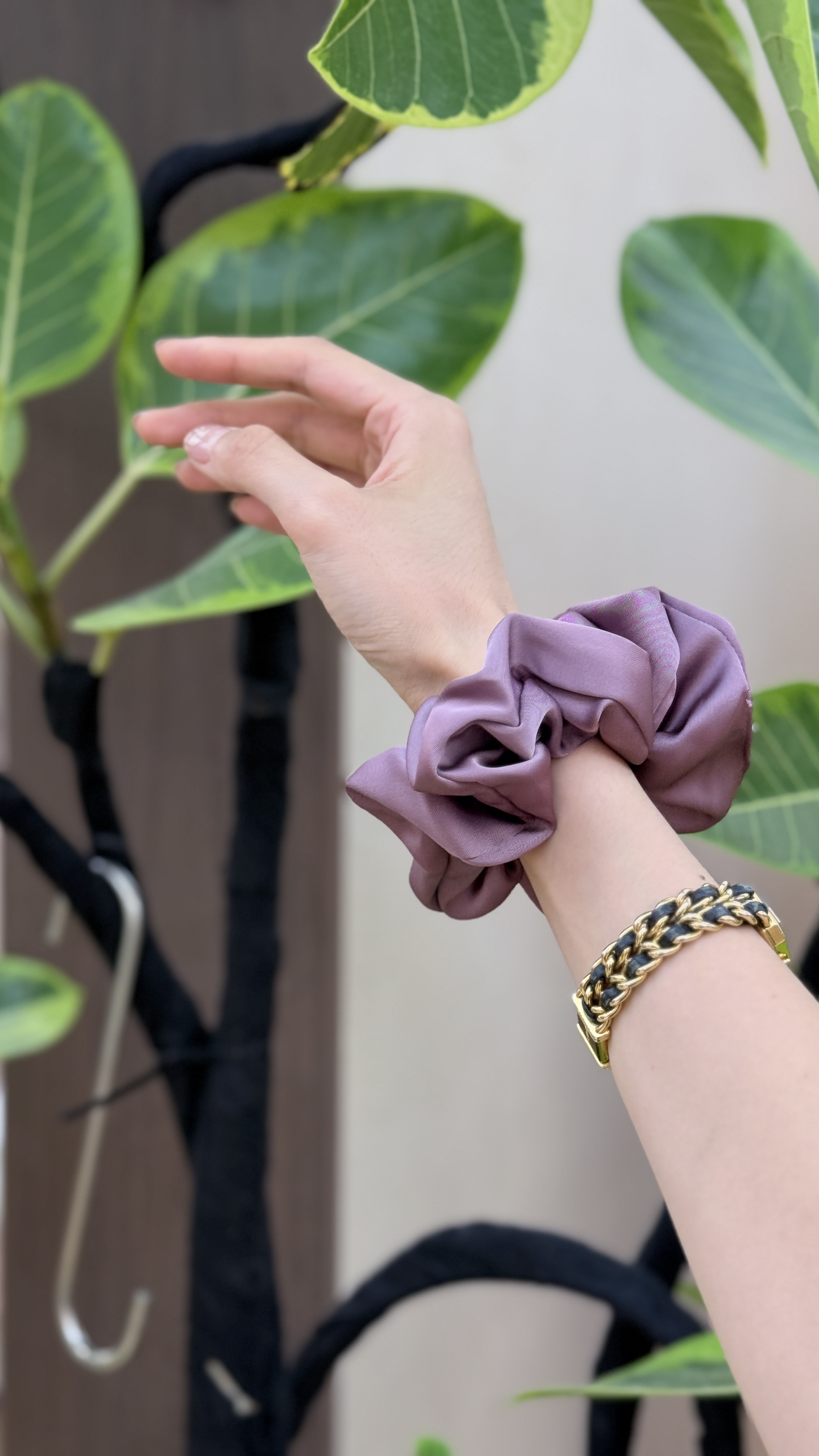 【玫瑰是玫瑰】不止玫瑰，还有爱意