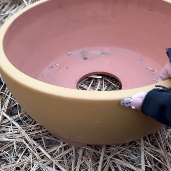 红陶紫砂碗盆口30