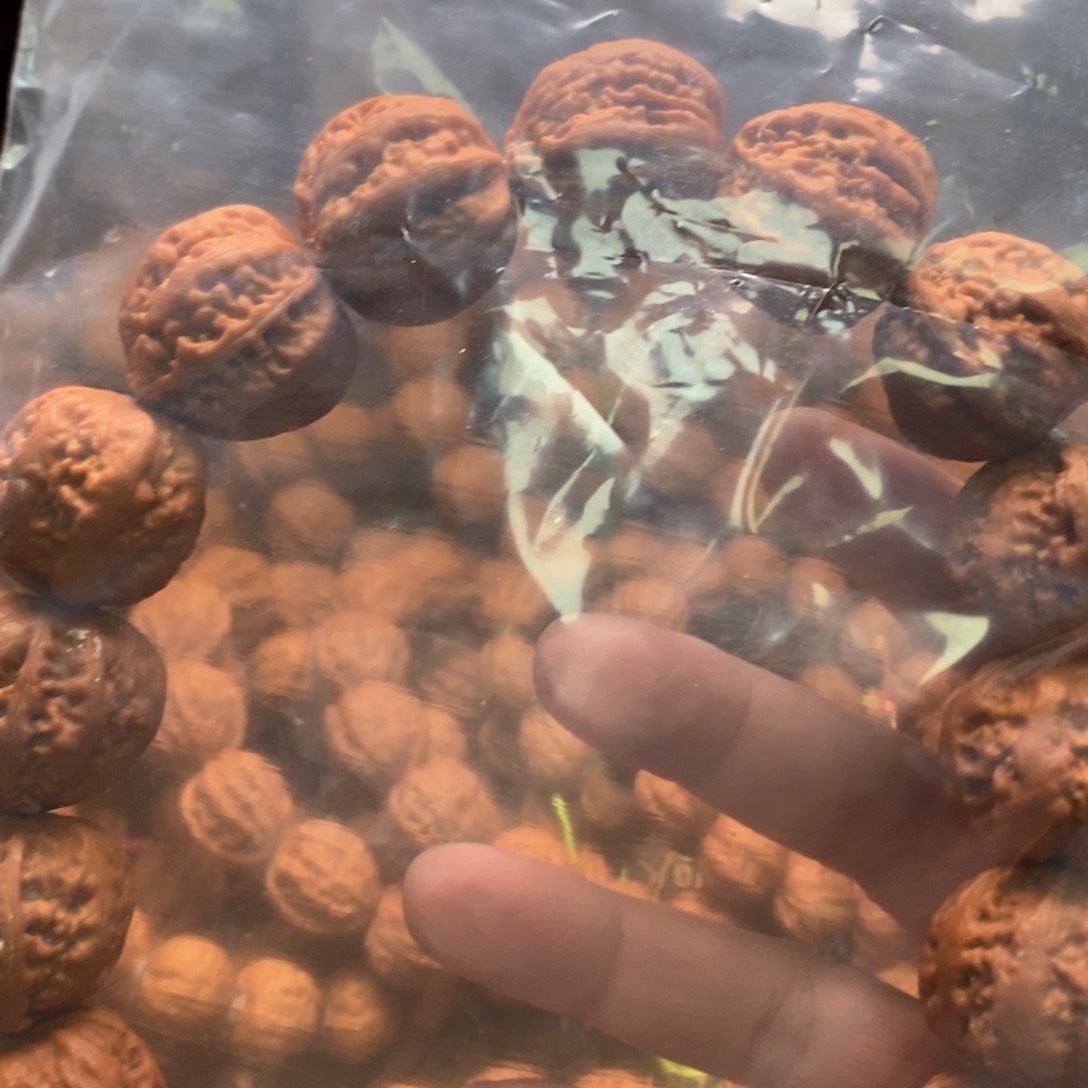 文玩核桃手串大**温文玩核桃粗筋