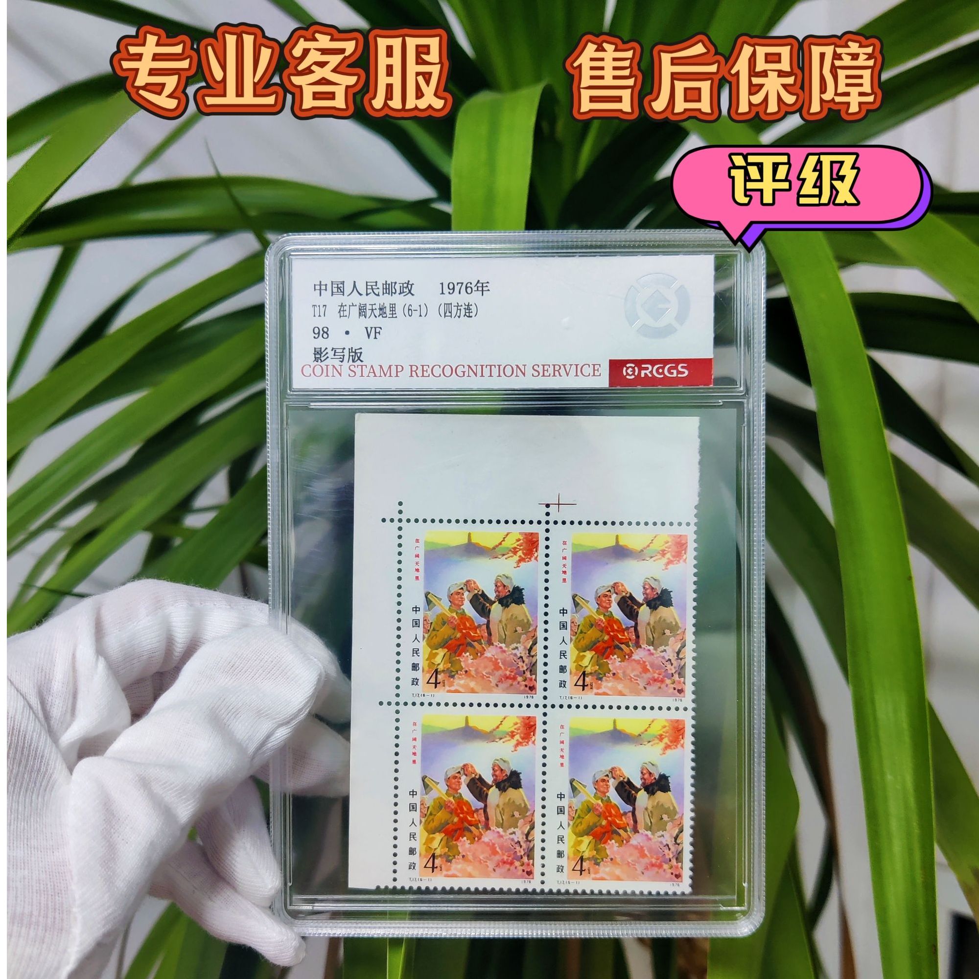 T17广阔天地6-1四方连邮票