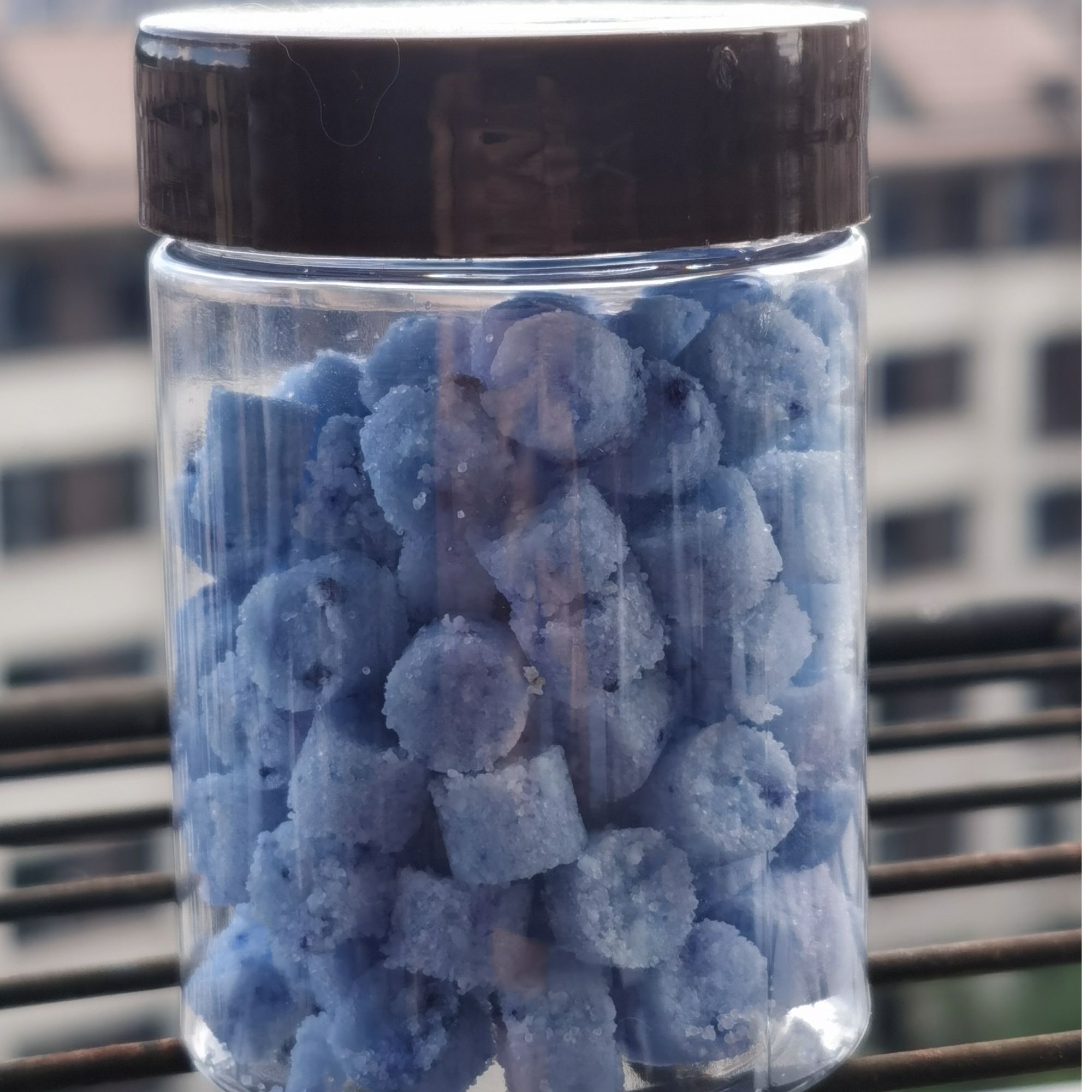 原生鱼 冷水鱼 观赏鱼 九州鱵 适用 定水剂