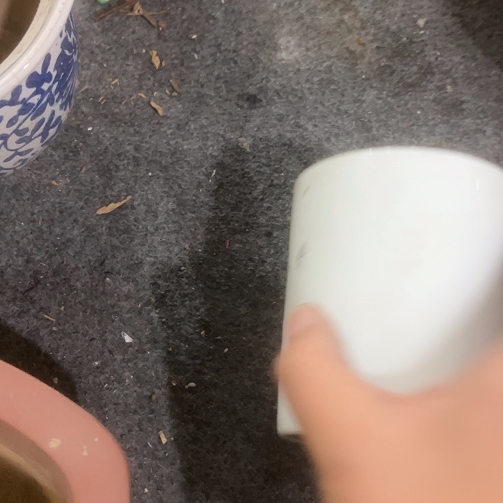 伟***哥扇子民俗文化的艺术家