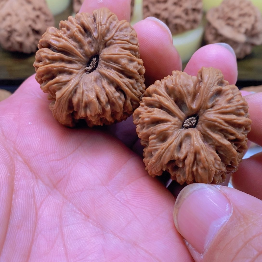 文玩核桃把件○***●文玩核桃南疆