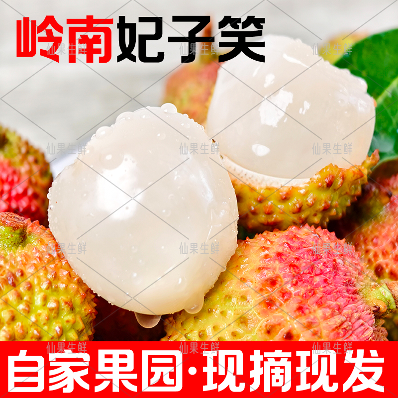 【冷链包邮】广东新鲜妃子笑荔枝头茬皮薄肉厚新鲜现摘现发爆汁现发