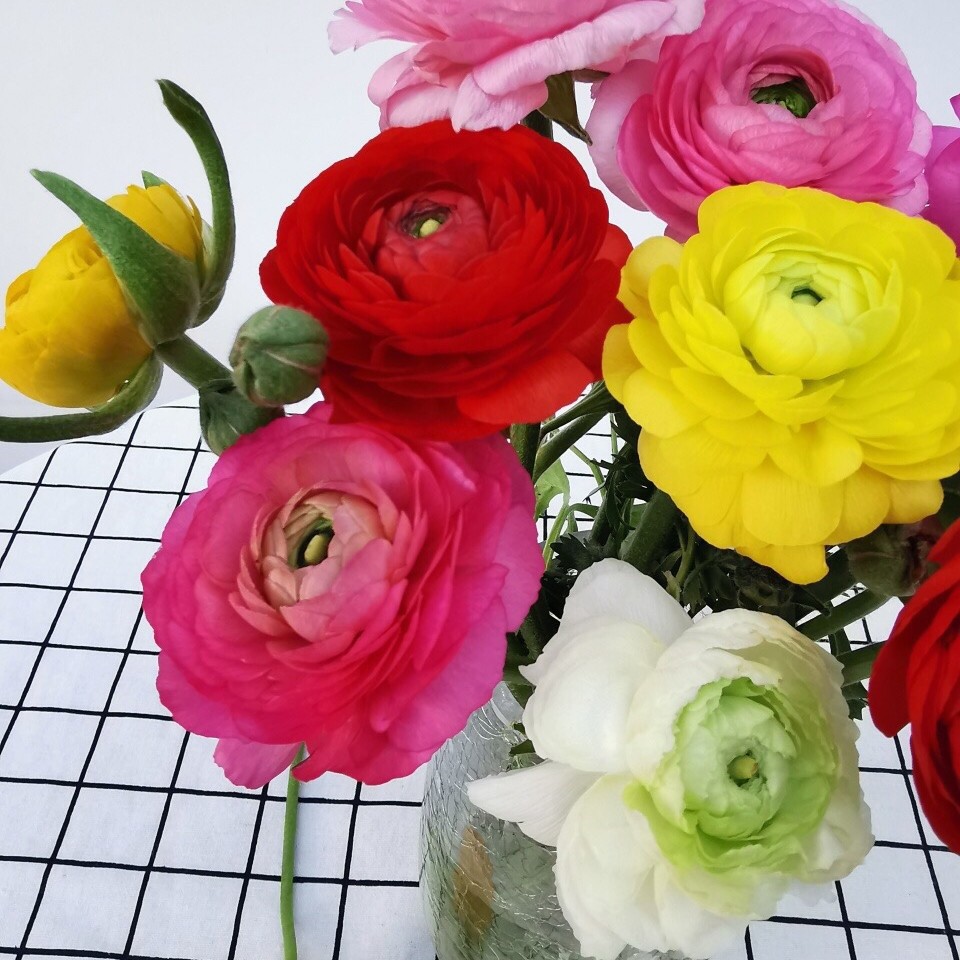 鲜切花材（洋牡丹 风铃 洋甘菊 百合 玫瑰等）2单包邮顺丰冷链