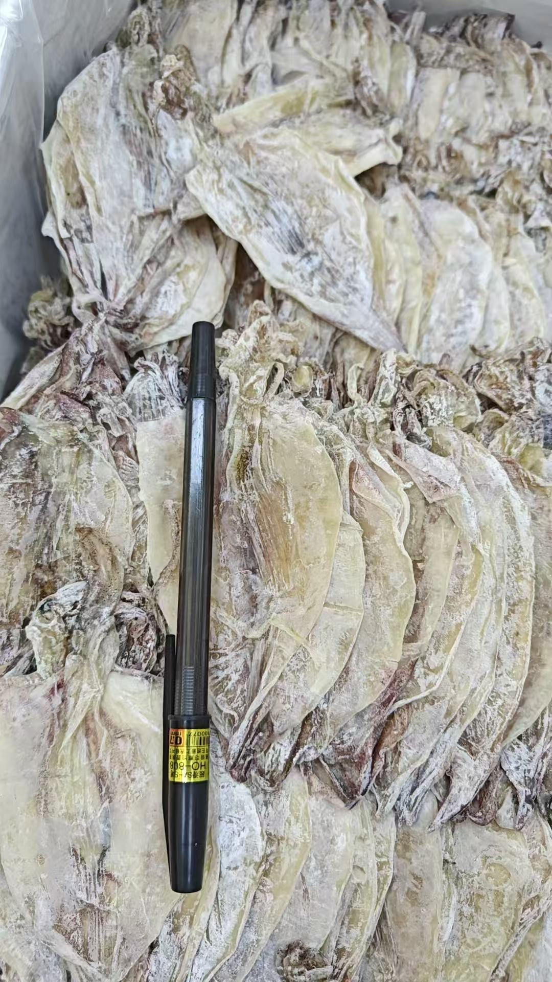 汕尾本港淡晒鱿鱼干适合炭烤油炸香煎多种做法
