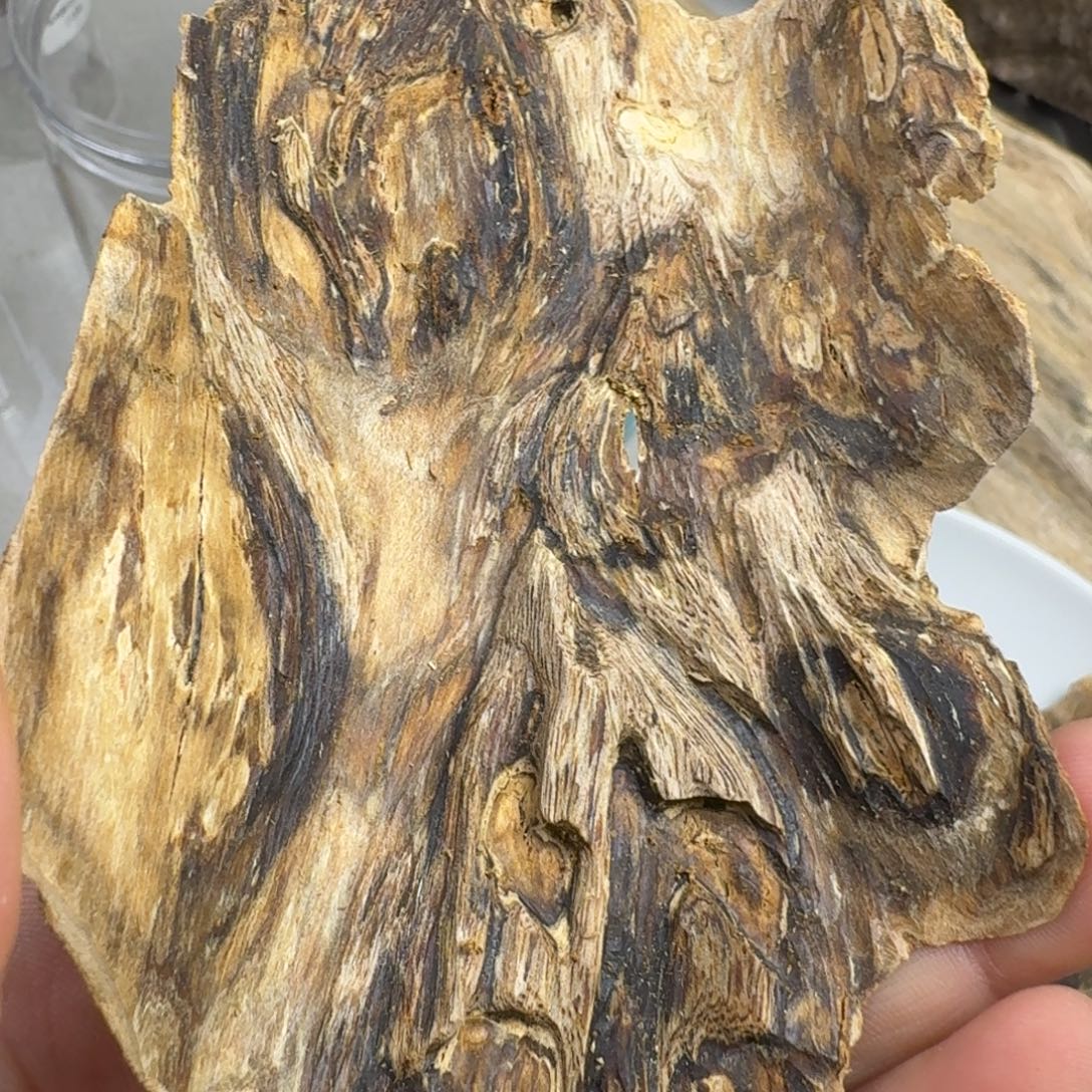 沉香碎屑沉香海南虎斑棋