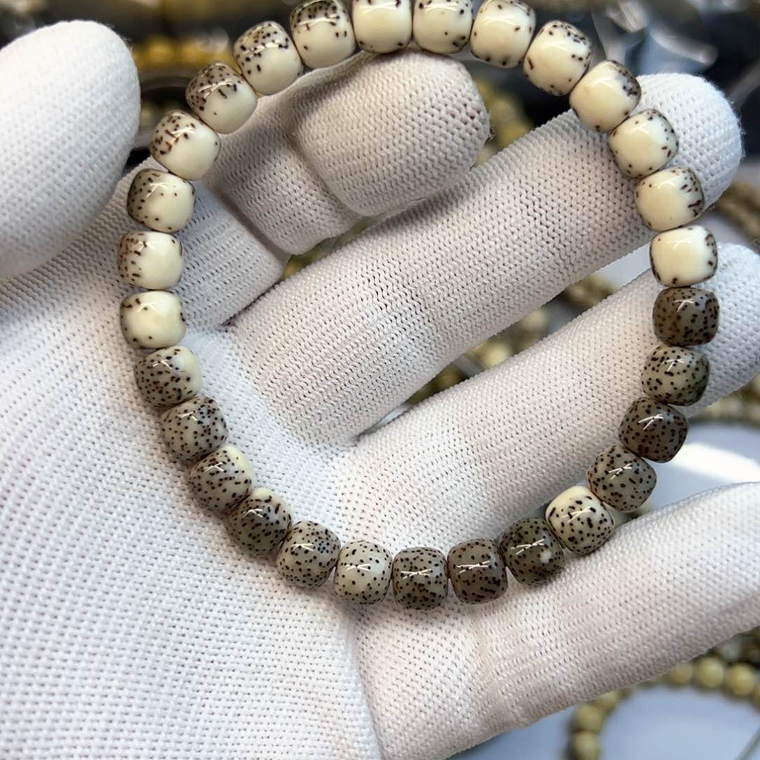 星月菩提手串盛****灰背河豚8✖️7