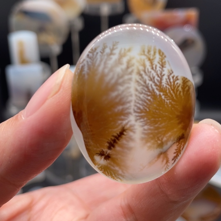 玛瑙/玉髓合金颈饰