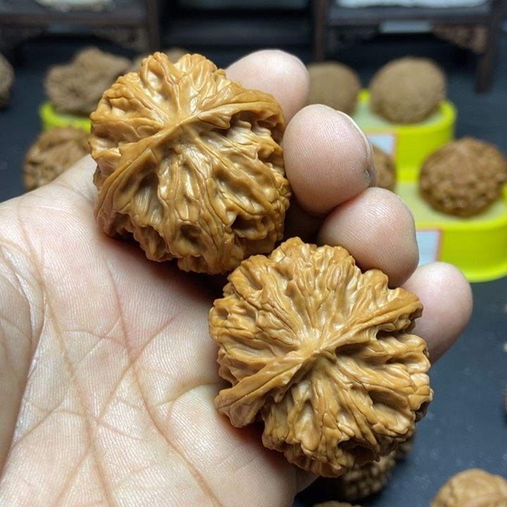 核桃苹果园狮子头002