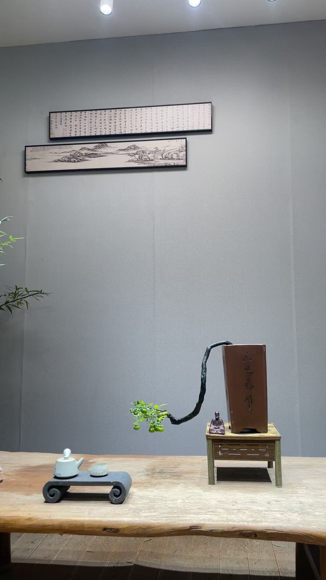 川派金弹子老盆造型盆景