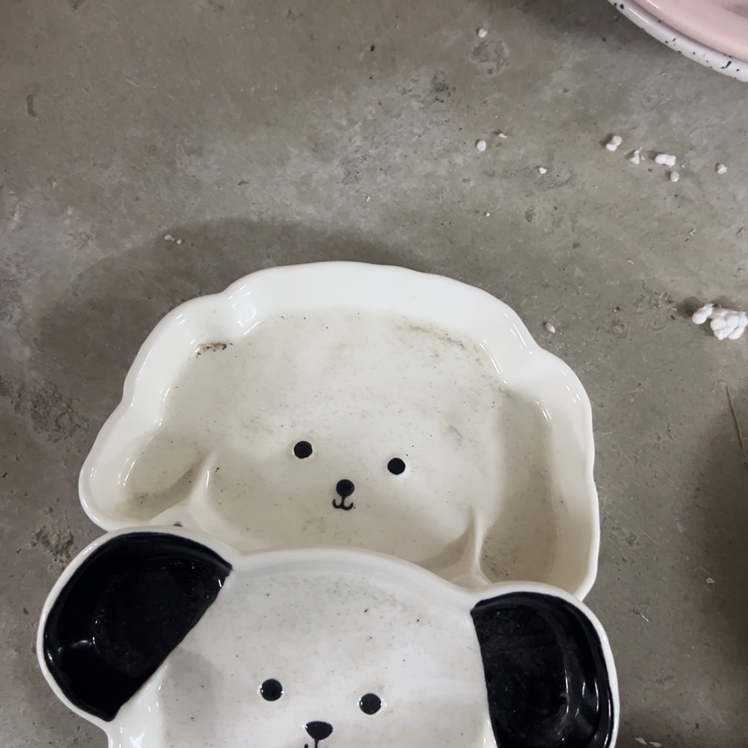 陶微瑕黑狗白白狗