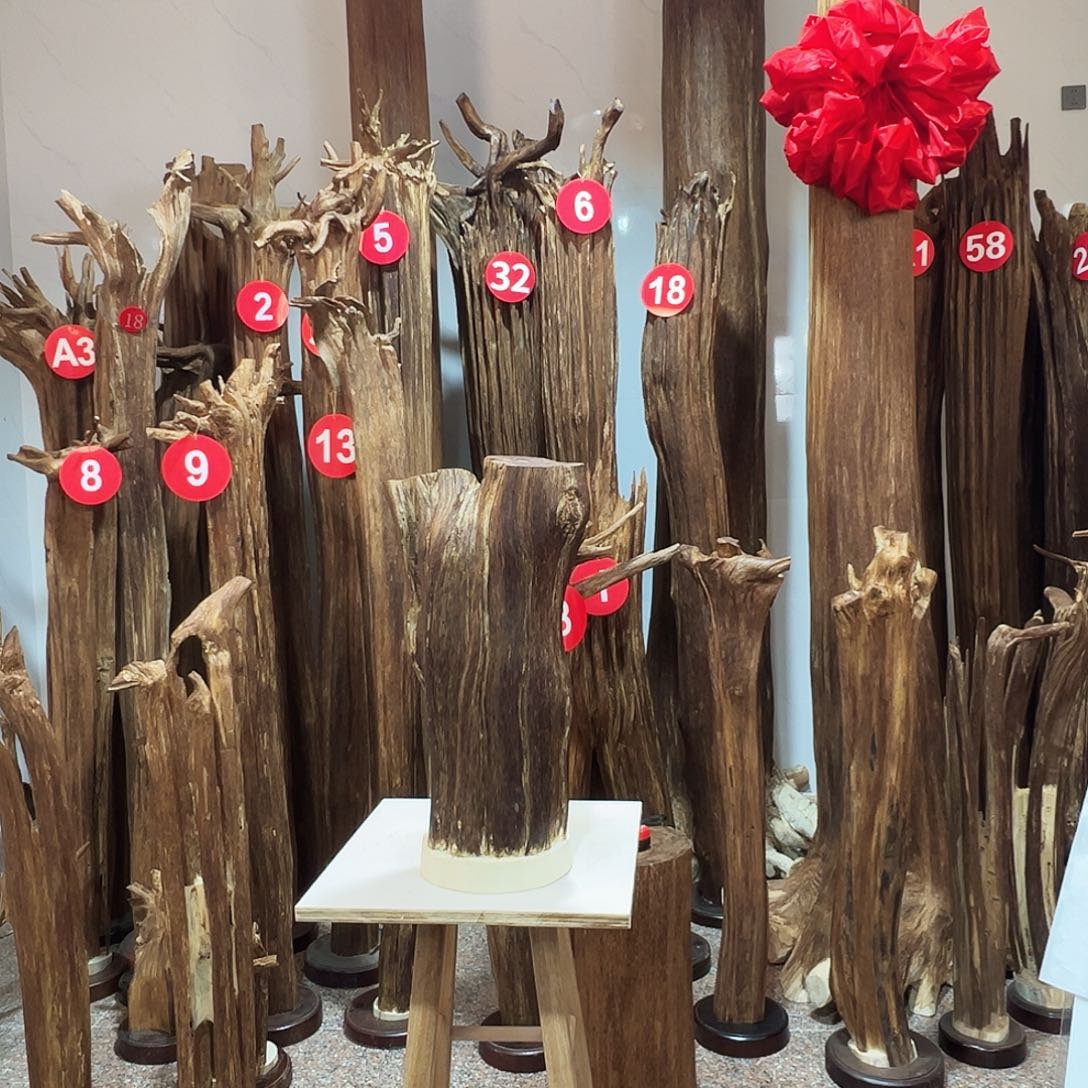 天***你沉香沉香碎屑沉香原料