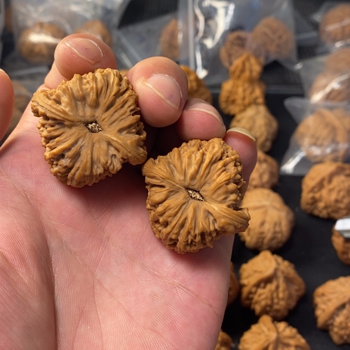 S***t桃核把件3455455445