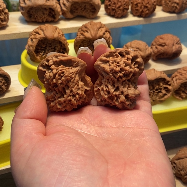 官方网站发布消息