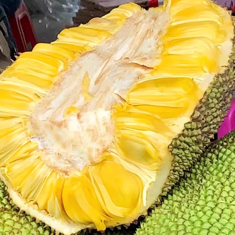 新鲜菠萝蜜 一份