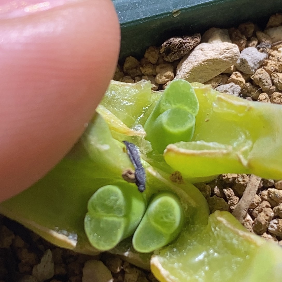 好看好看好看好看