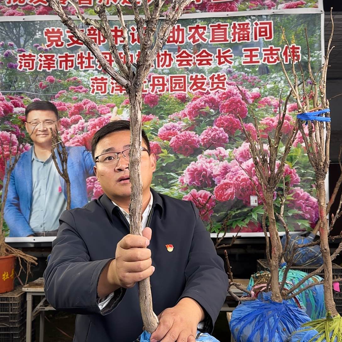 心***成完全开放绿幕引玉400