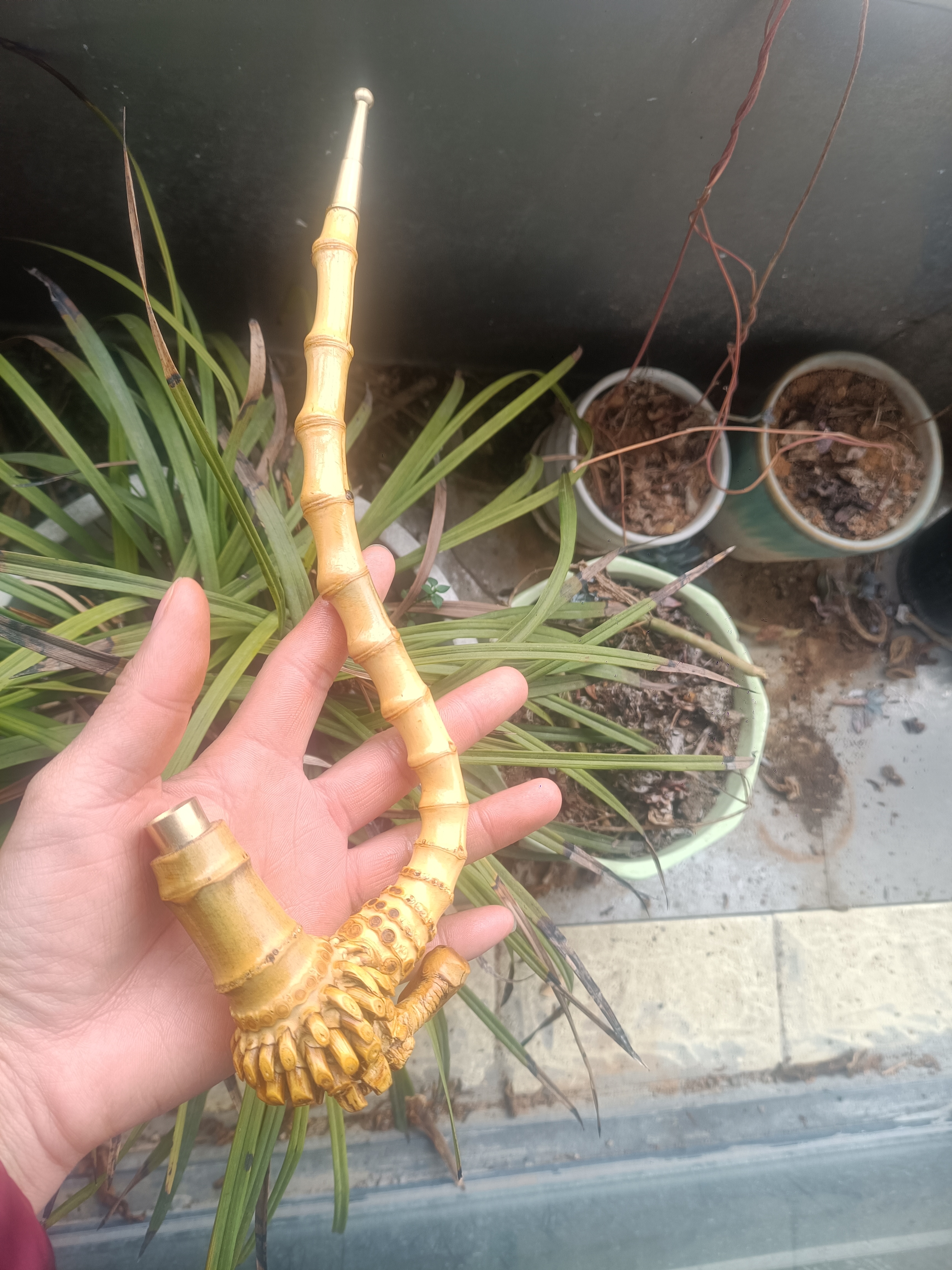 三十公分二弯竹根烟斗一物一拍