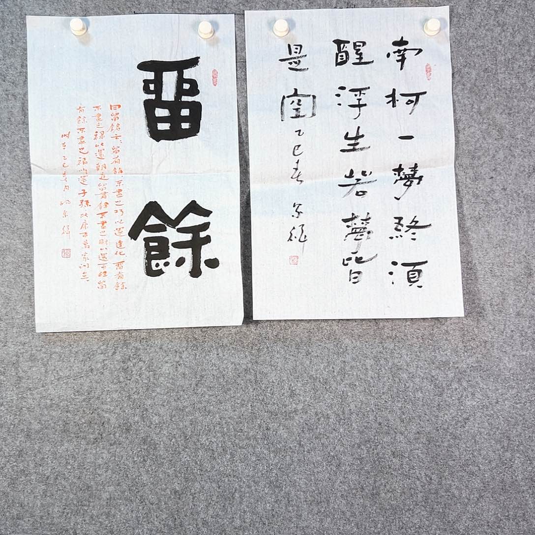 国画438 花鸟在这里生活很累