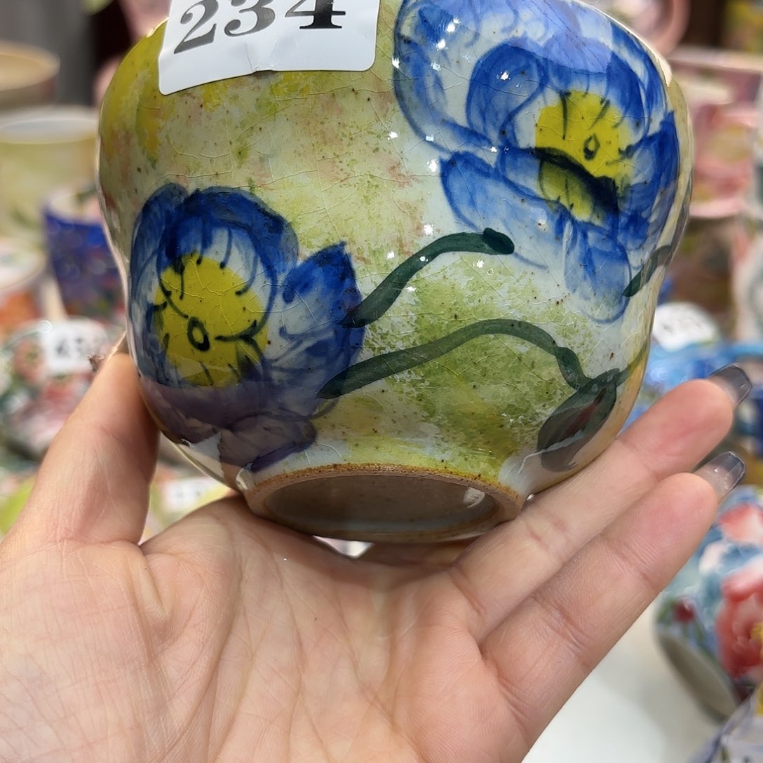 瓷片在这个充满生机盎然