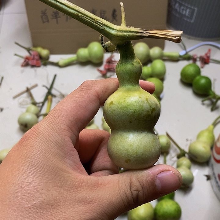 李*逸长嘴哈哈哈哈哈哈哈哈哈好