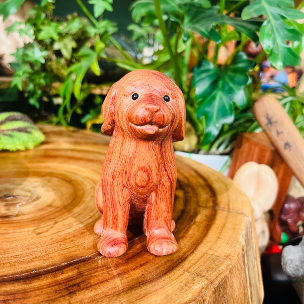 金毛狗巴花摆件833