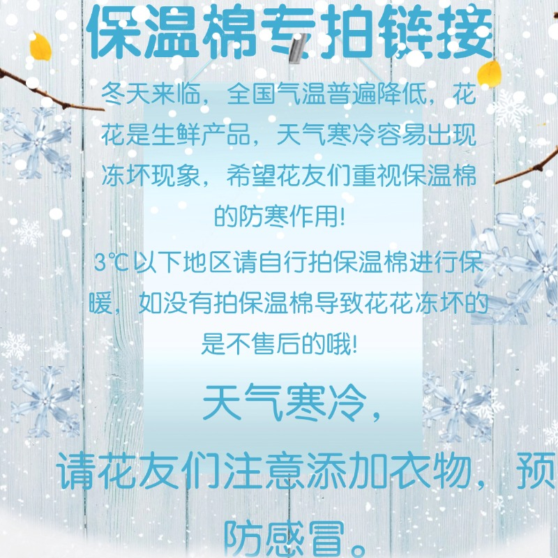 【保温棉专拍】3℃以下地区必须拍，3℃地区不拍保温冻坏不售后