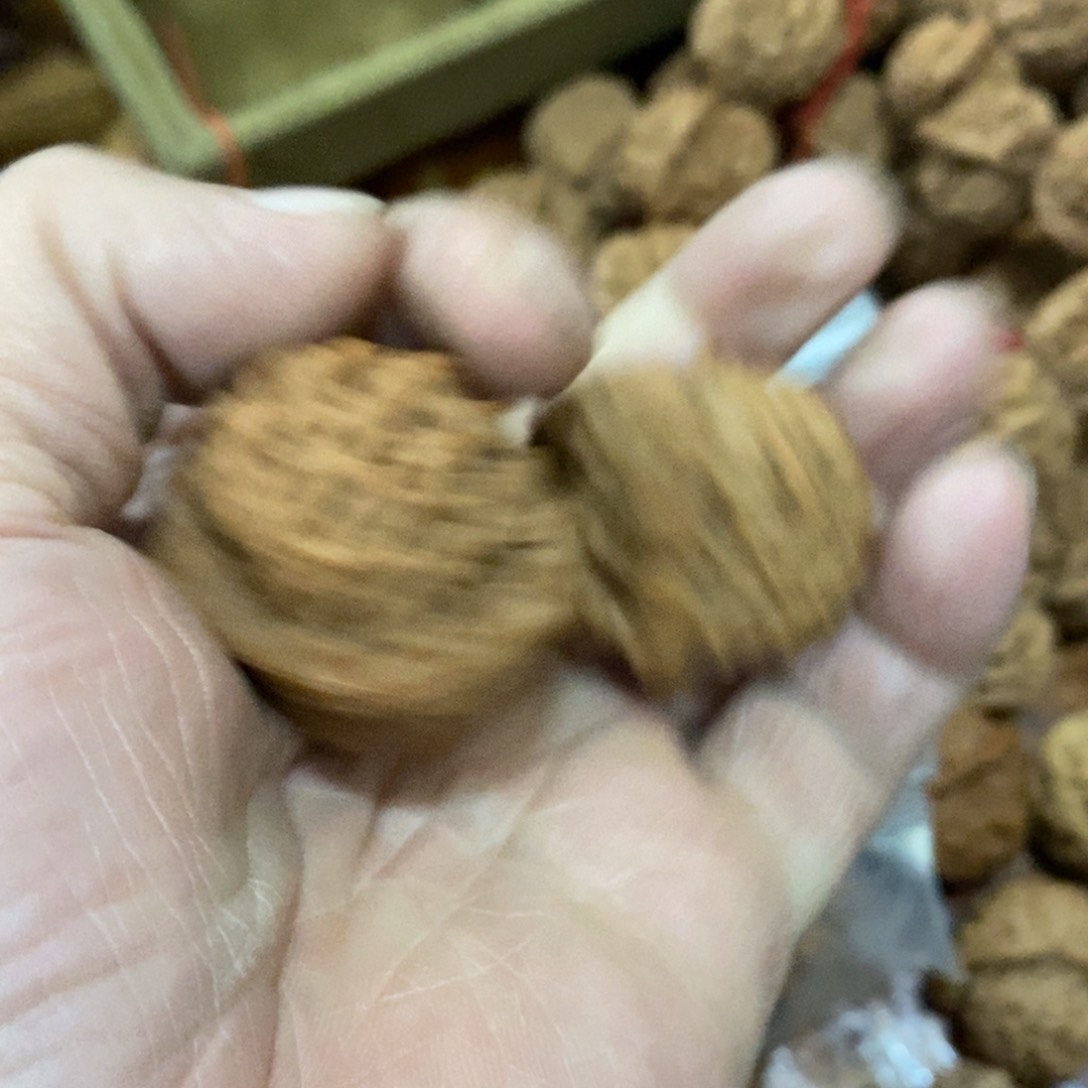 潮*秦岭南侧和东北的区域范围