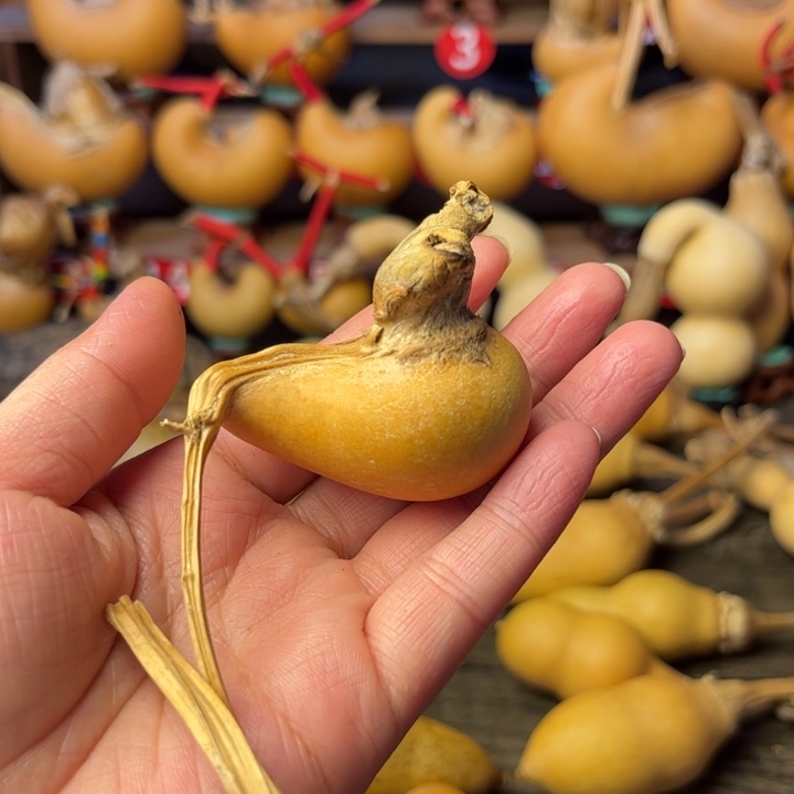 刘***哥腰子葫芦天天开心