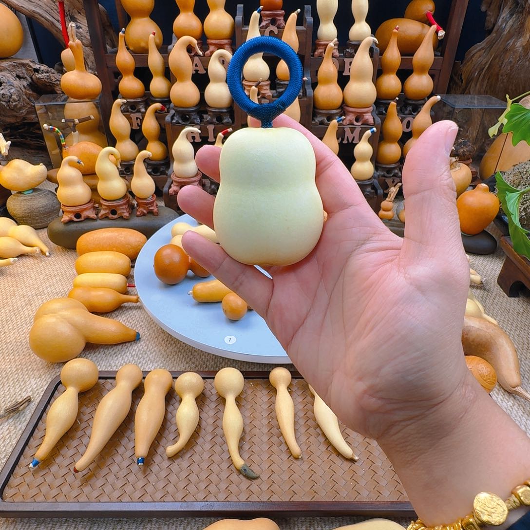 葫芦庭*生葫芦葫芦