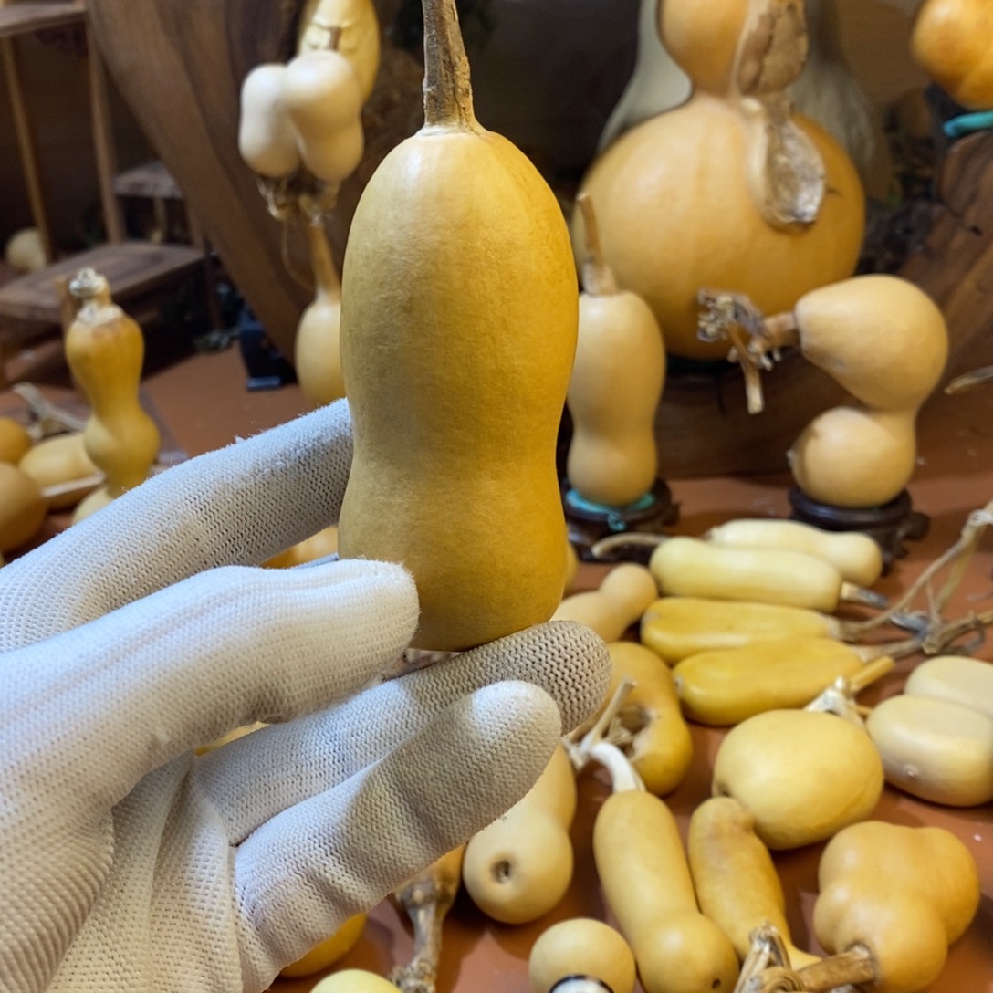 静***艺教练教练教练教练啦