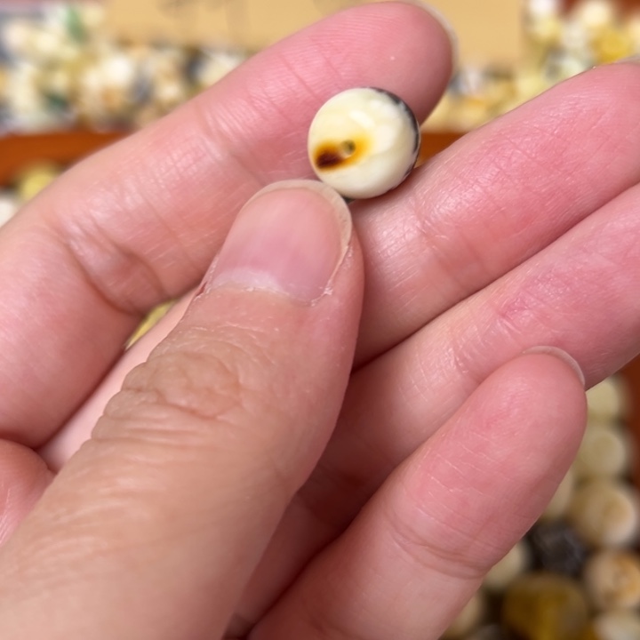 蜜蜡未镶嵌裸石10.2mm一个