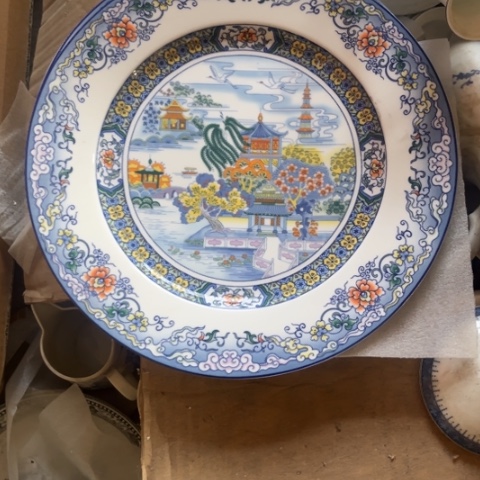 其他瓷10寸盘一个