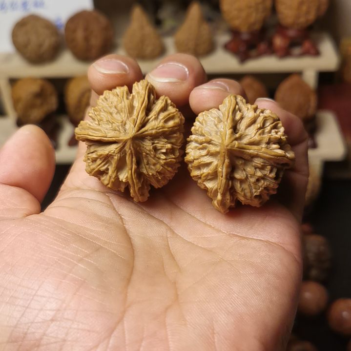 辉***哥核桃文玩核桃高端小众文山三棱全品