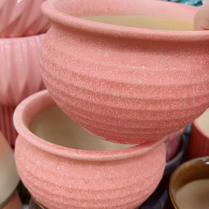 多肉植物陶瓷花盆