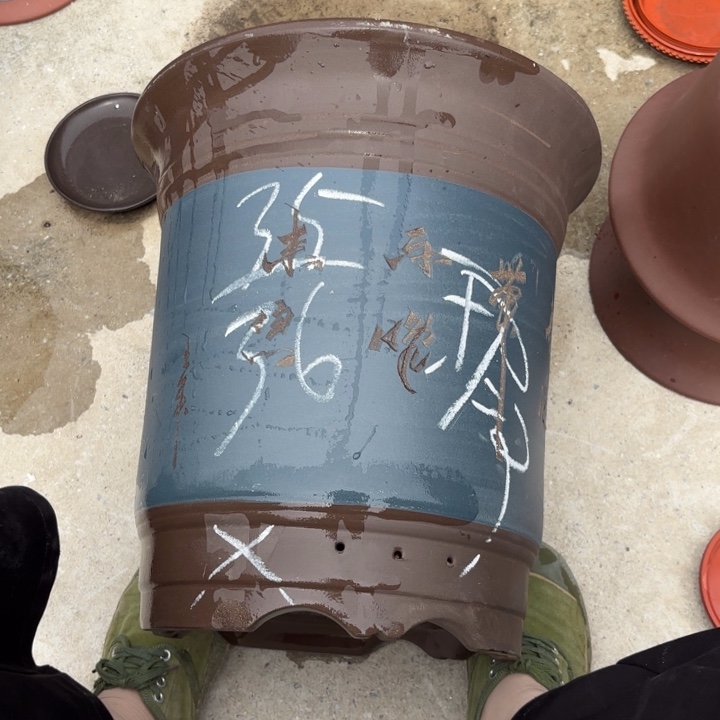 紫砂花盆紫砂的花