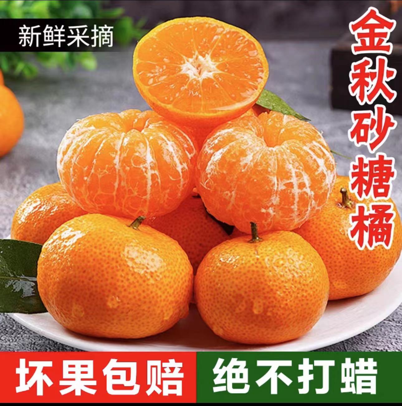 【坏果包赔】正宗金秋砂糖橘沙糖桔纯甜薄皮橘子新鲜无籽桔子SY 