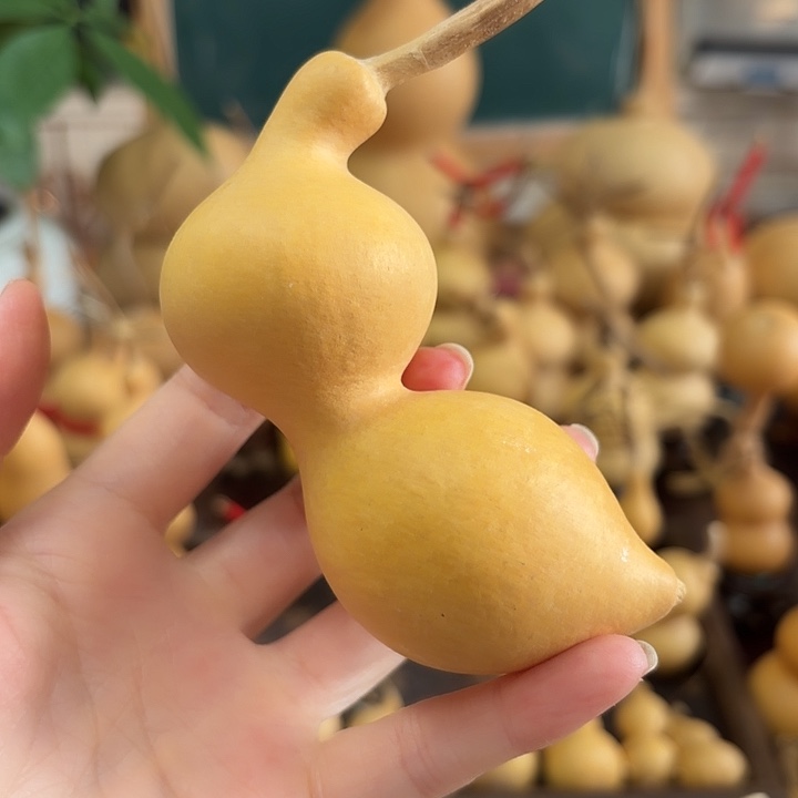 老***董弓背蚂蚁精品葫芦