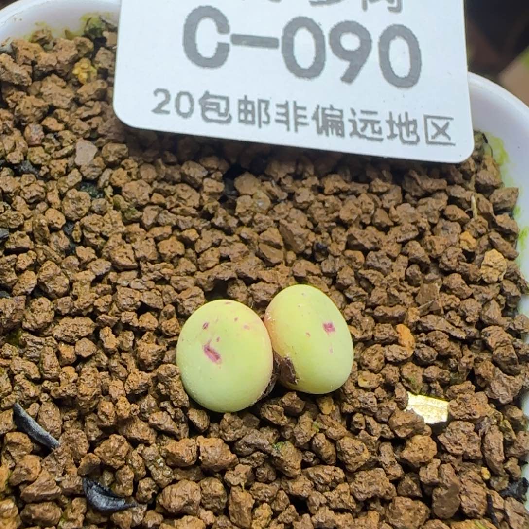 中嘴脱土发货。             