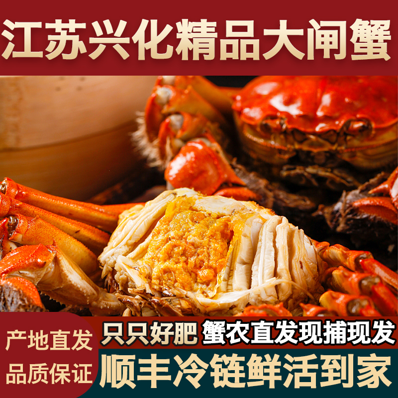 【活蟹】（性价比款）江苏兴化精品大闸蟹 公蟹3.5两母蟹3两 共3对6只
