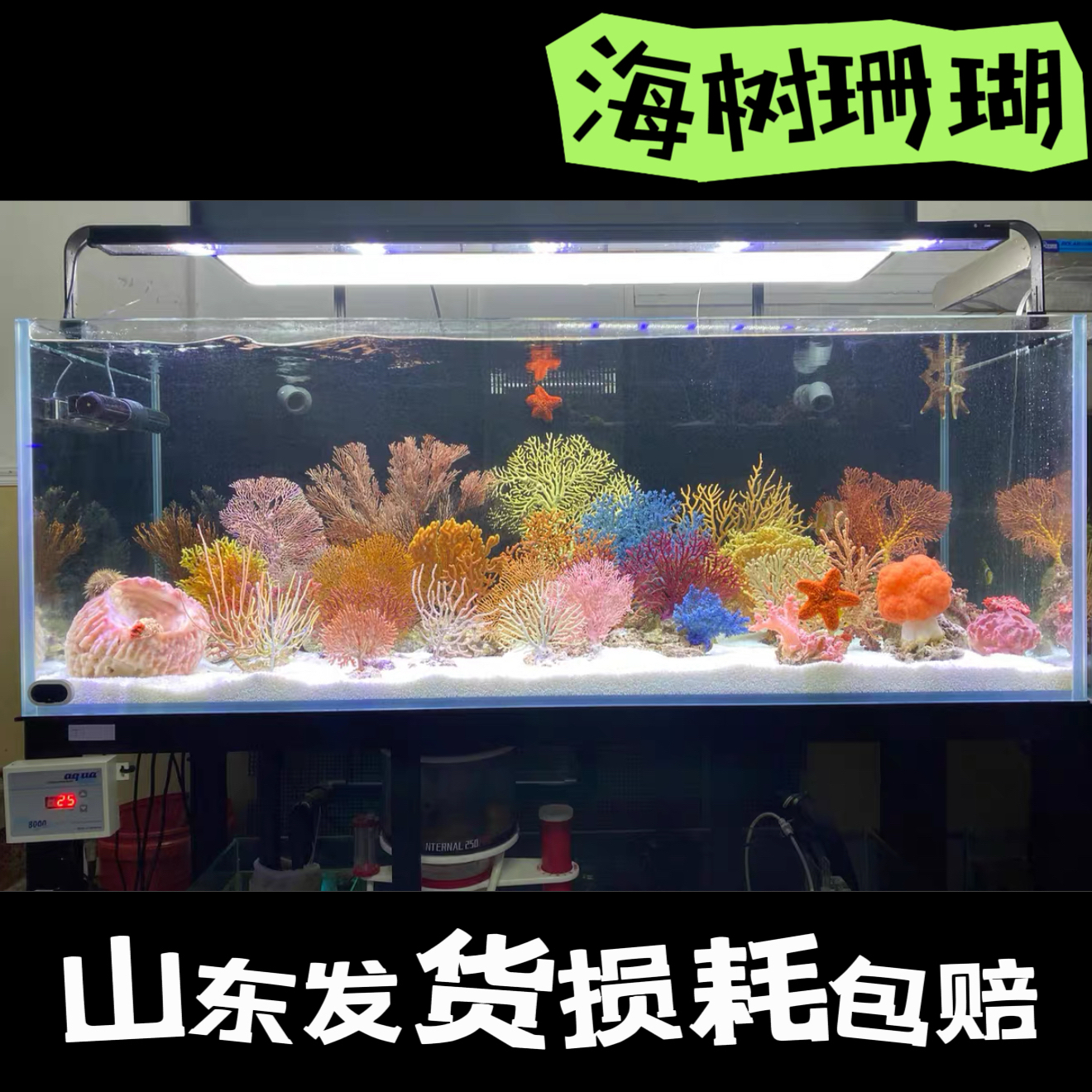 海水树珊瑚小丑鱼水族树支状海缸造景摆件珊瑚海洋生物海树造景