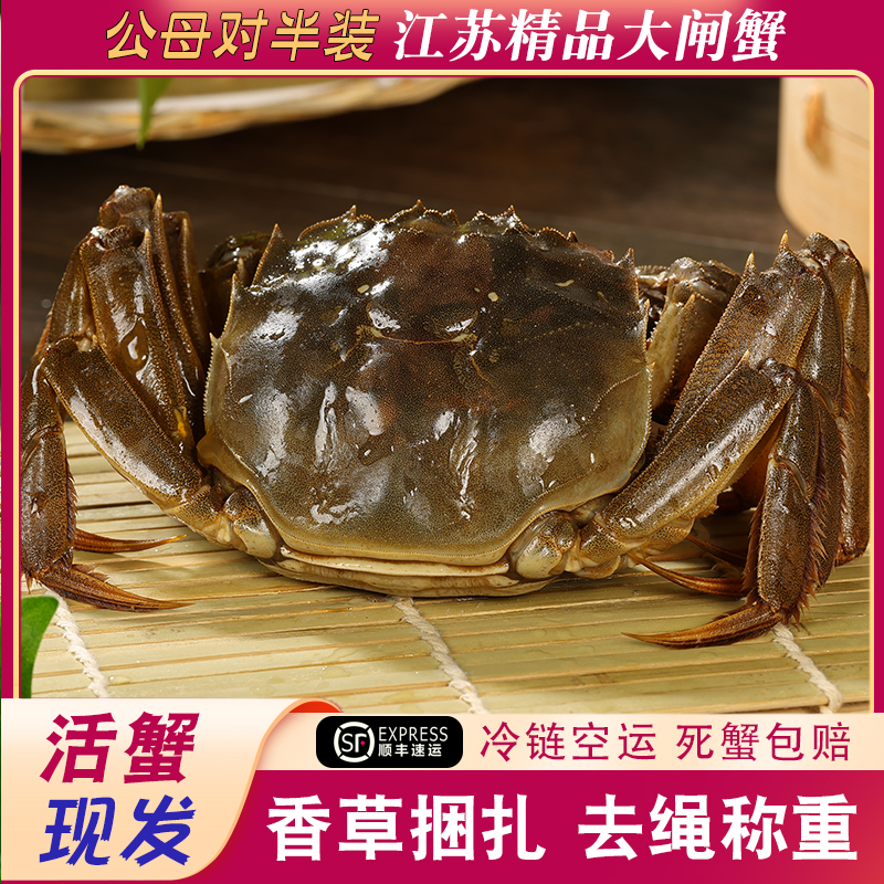 【江苏活蟹】大闸蟹公(4.0-3.7两)母(3.3-3.0两) 6/8/10只顺丰包邮X