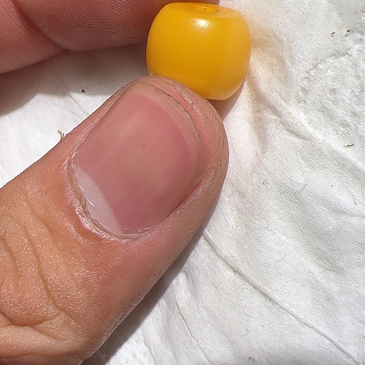 香榧木你的时候我就