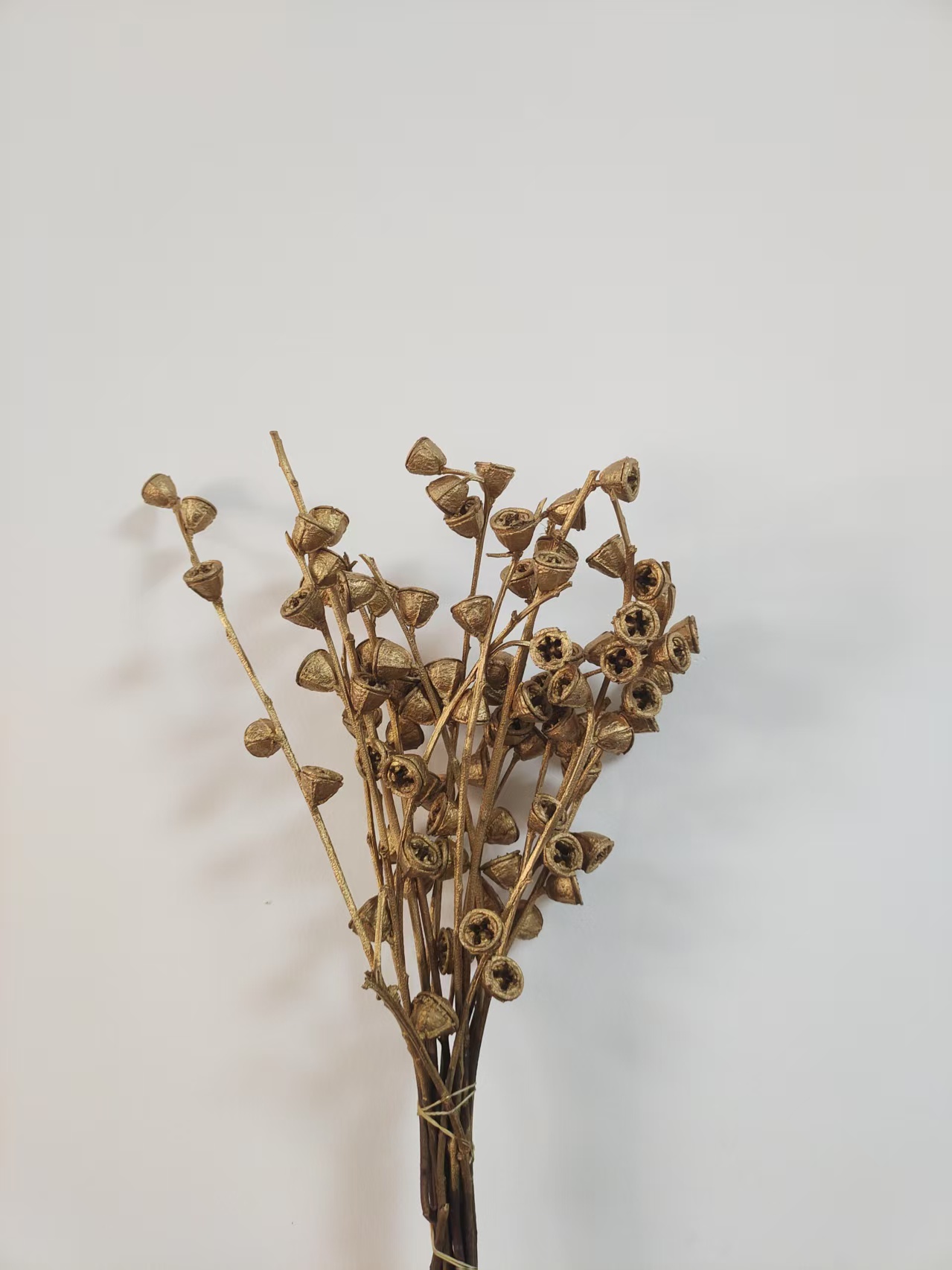 尤加利大果金色天然真花干果客厅插花装饰摆件永生花花束diy花材
