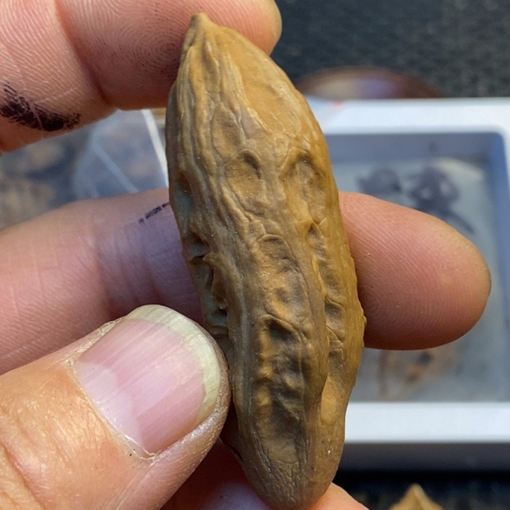 吊坠桃核娜姐真的23